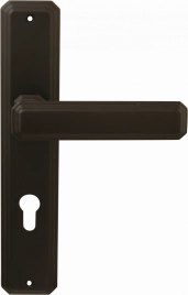 Дверная ручка на планке Temis mod.217 G01 Forme под цилиндр